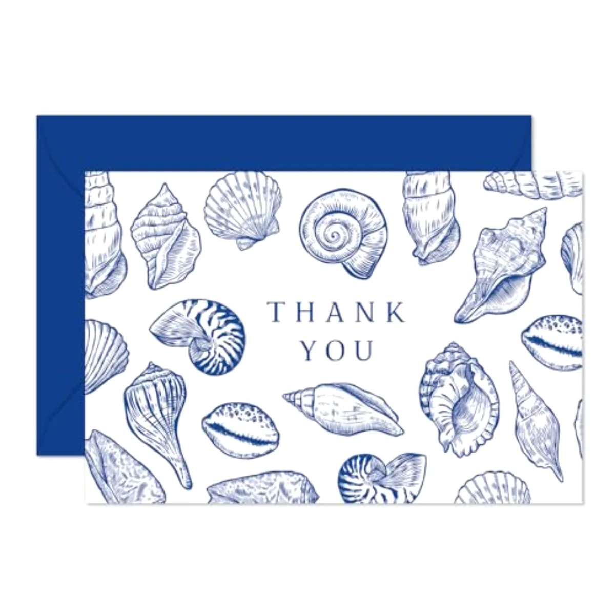 24 Pack Ocean Thank You Cards Blue Sea Shell Greeting Cards with Envelopes
