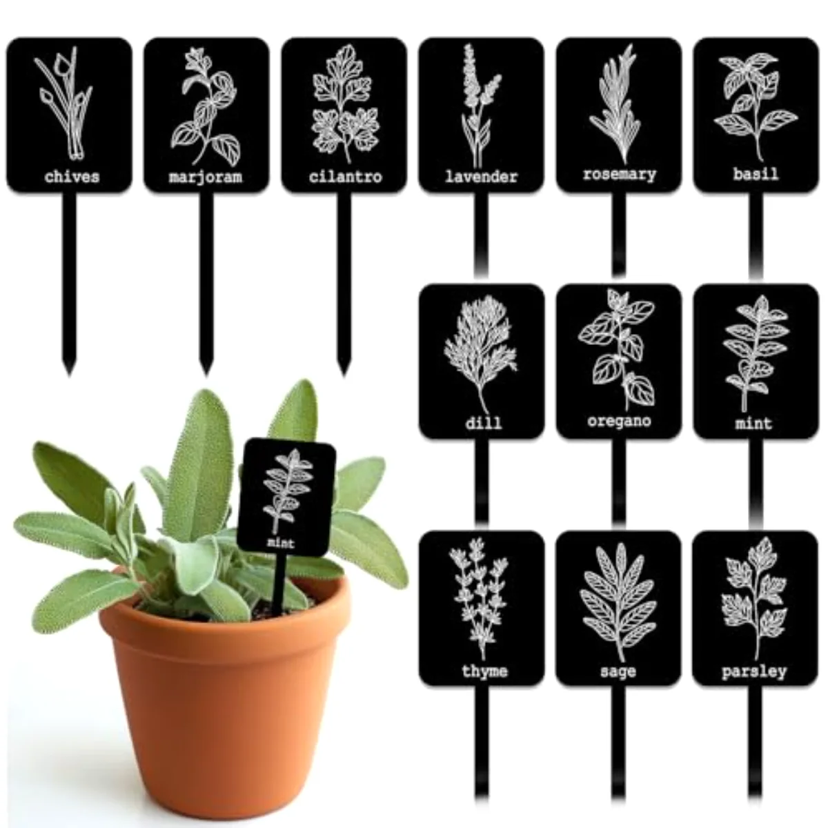 24 Pcs Acrylic Plant Label Signs Garden Herb Markers