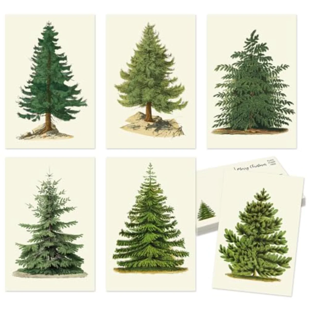 36Pcs Christmas Postcard Vintage Xmas Tree Post Card 6 Designs Green Beige