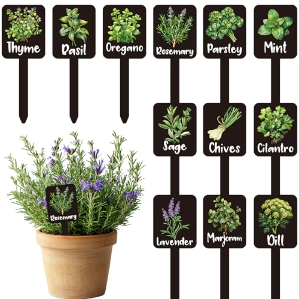 12Pcs Herb Plant Label Signs 12 Styles Garden Herb Markers Thickened