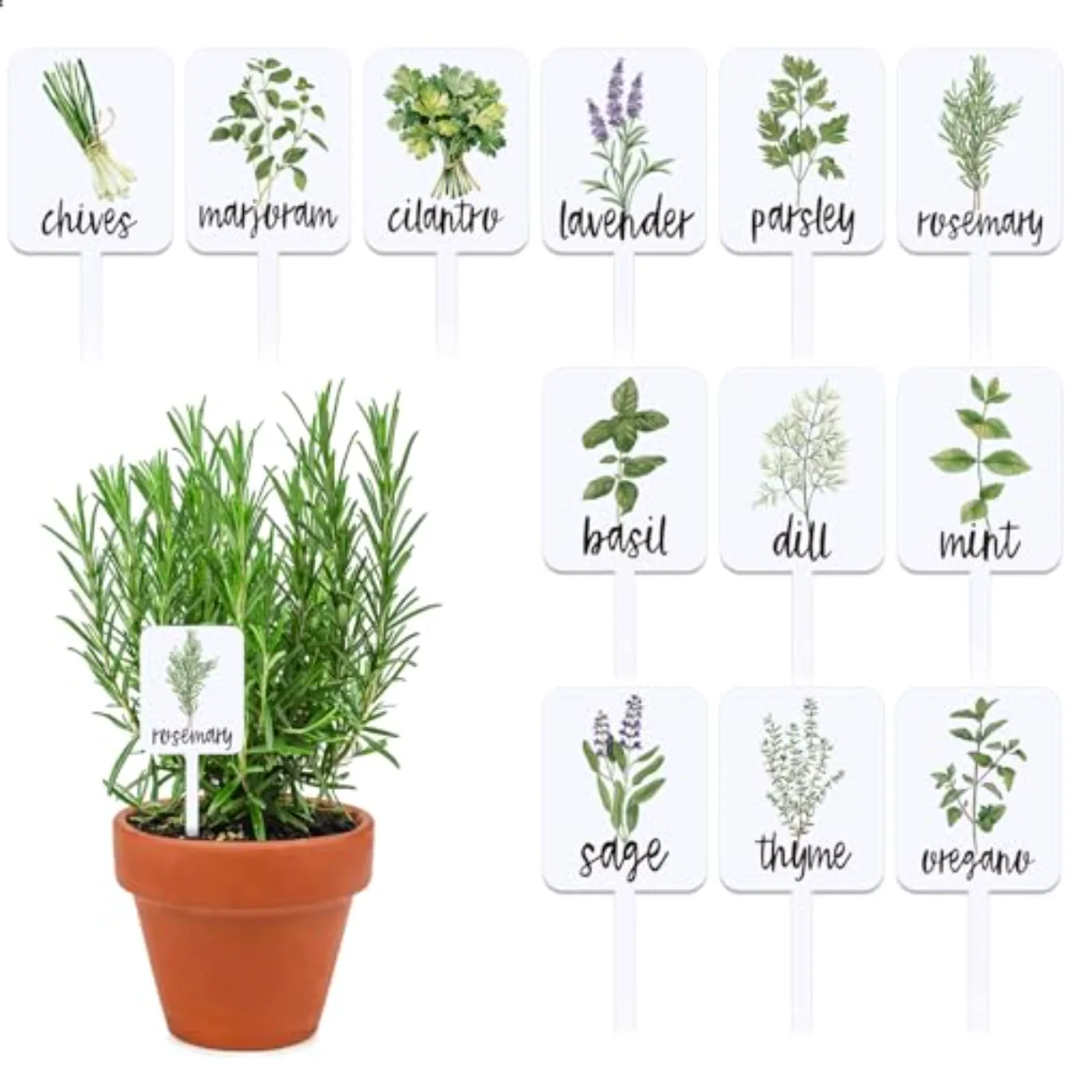 24Pcs Acrylic Plant Label Signs 12 Styles Planted Herb Garden Markers