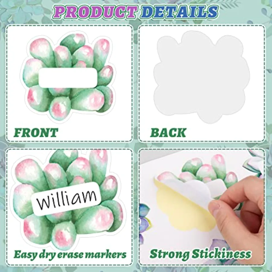 80Pcs Back to School Succulent Cutout Name Tag Stickers 8 Designs Rustic, view 3