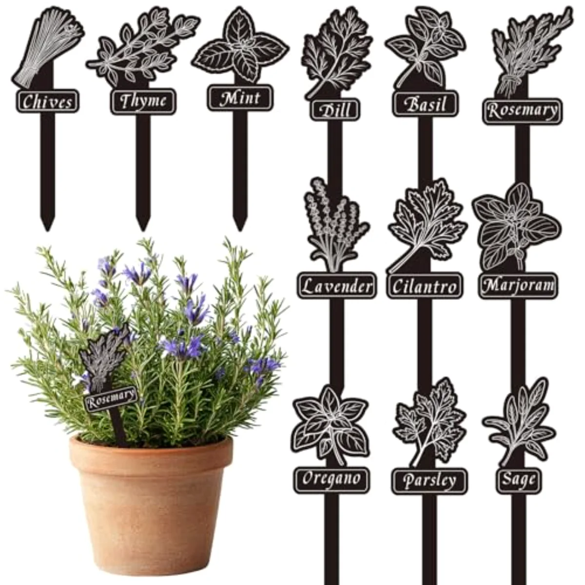 24Pcs Acrylic Garden Herb Signs 12 Styles Garden Herb Plant Label Markers