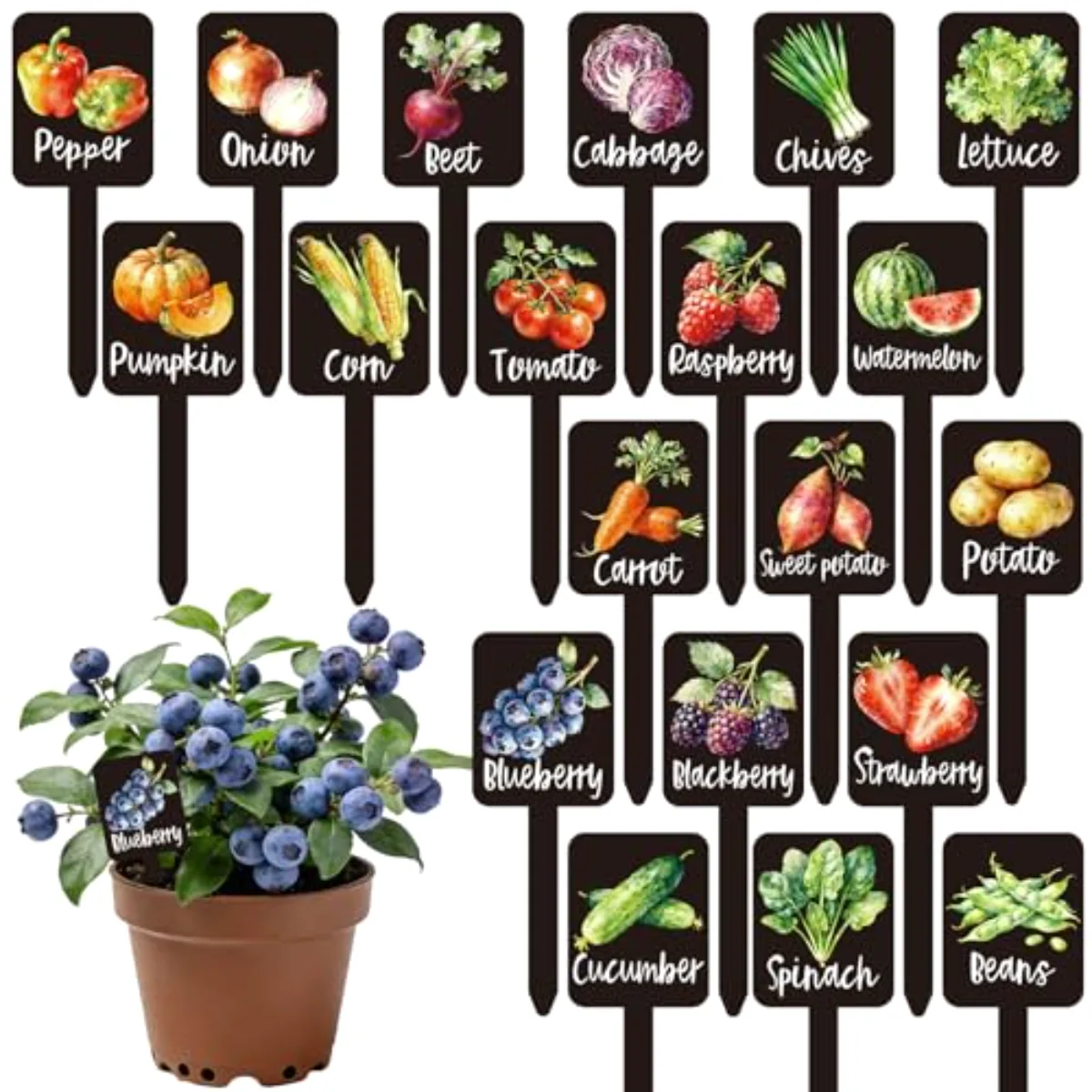 20Pcs Watercolor Vegetable Fruit Plant Label Signs