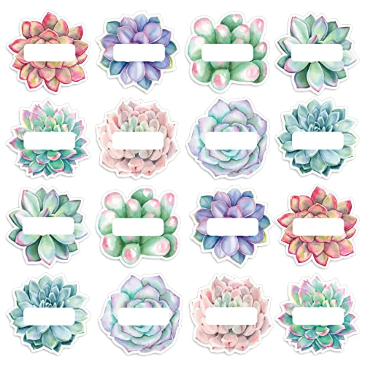 80Pcs Back to School Succulent Cutout Name Tag Stickers 8 Designs Rustic