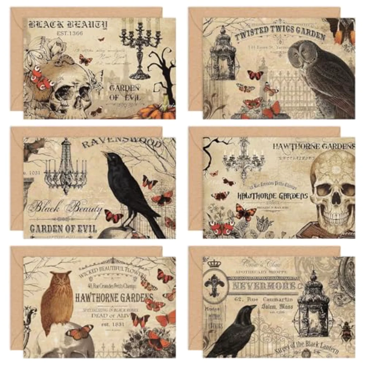 36 Pack Halloween Greeting Cards Vintage Owl Crow Skull Blank Note Cards