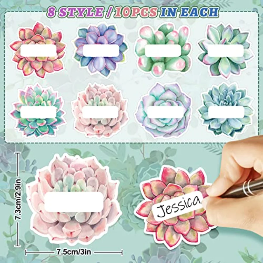 80Pcs Back to School Succulent Cutout Name Tag Stickers 8 Designs Rustic, view 2