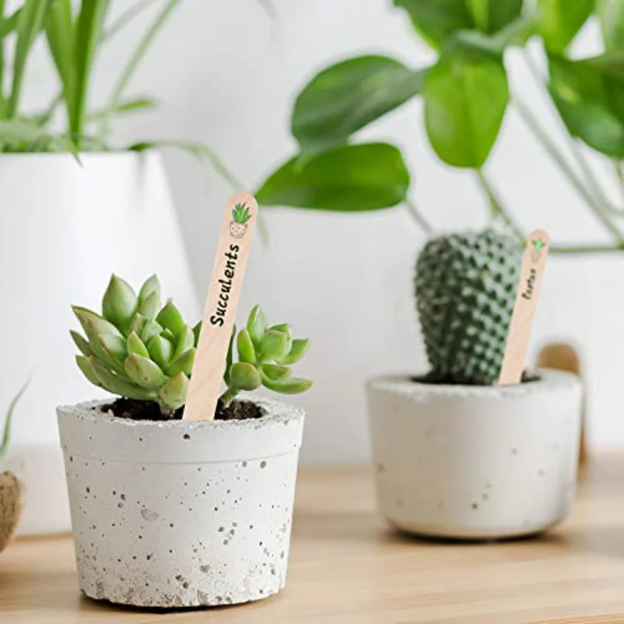 200Pcs Wooden Plant Labels Waterproof Round Head Plant Sign Tags Birch, view 4