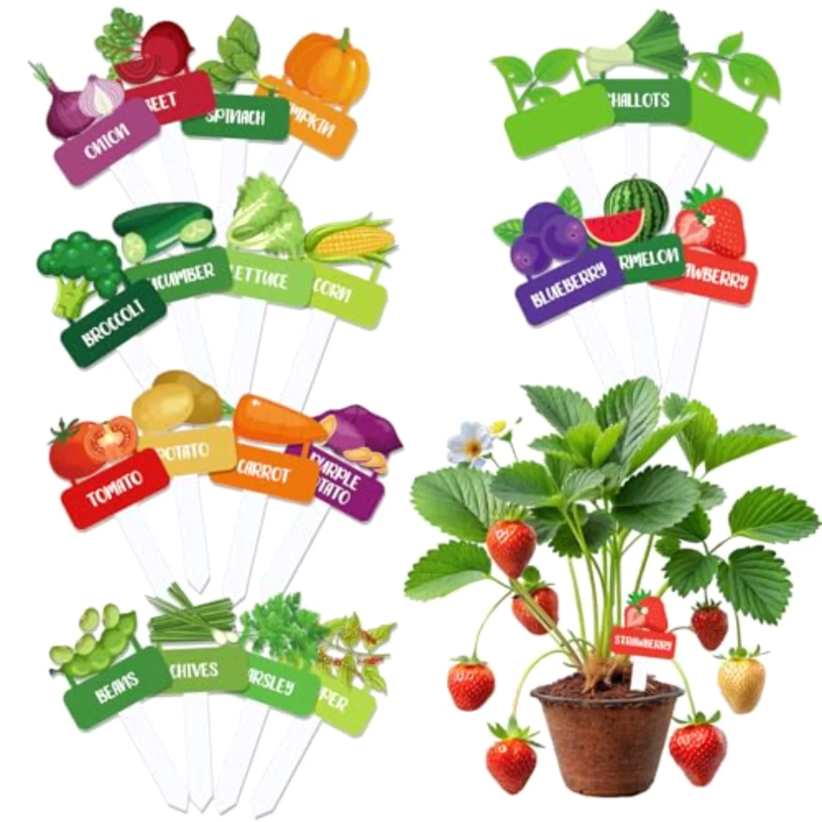 22Pcs Acrylic Vegetable Plant Label Signs 22 Styles Funny Cartoon Garden